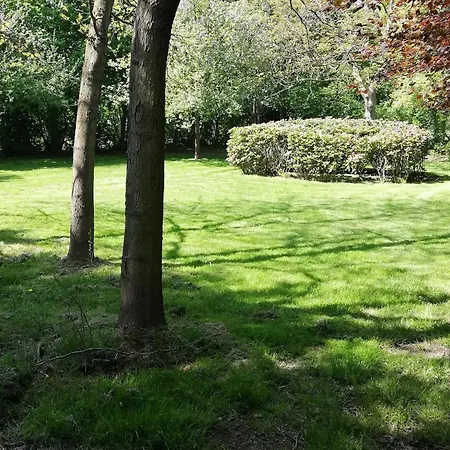 Splendid In Flemish Ardennes With Pool Villa *